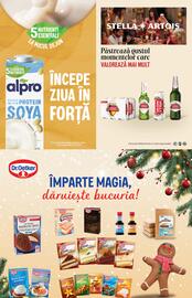 Catalog PROFI Pagină 18