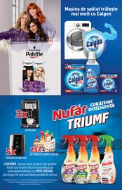 Catalog PROFI Pagină 21