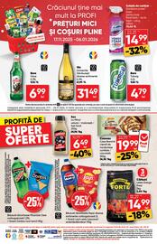 Catalog PROFI Pagină 22
