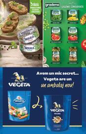 Catalog PROFI Pagină 6