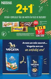 Catalog PROFI Pagină 10