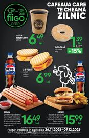 Catalog PROFI Pagină 17