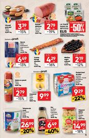 Catalog PROFI Pagină 5