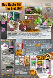 Hornbach Prospekt Seite 26