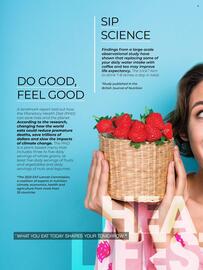 Dis-Chem catalogue Page 32