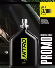 Catálogo Cyzone Página 99