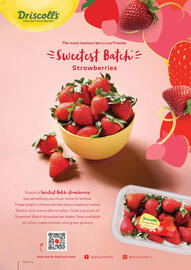 Drakes catalogue Page 24