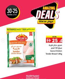 Sharjah Co-op catalogue Page 3