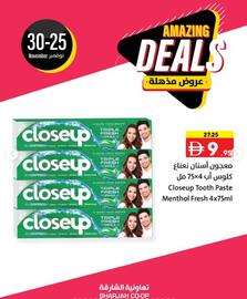 Sharjah Co-op catalogue Page 6