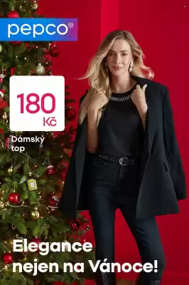 Pepco leták (platné do 3-12)