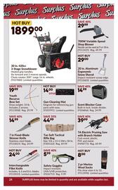 Princess Auto flyer week 48 Page 29