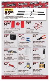 Princess Auto flyer week 48 Page 31