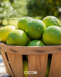 Encarte Big Box Página 2