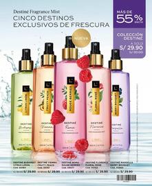 Catálogo L'Bel Página 100