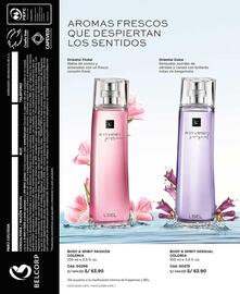 Catálogo L'Bel Página 74