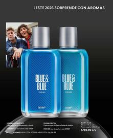 Catálogo Cyzone Página 84