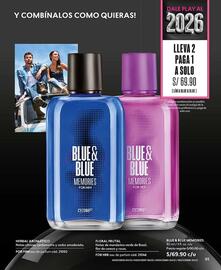 Catálogo Cyzone Página 85