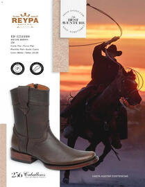 Catálogo Price Shoes Página 256