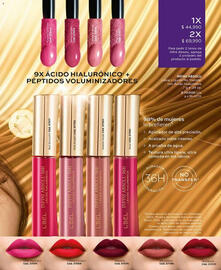 Catálogo L'bel Página 17