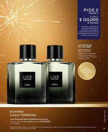 Catálogo L'bel Página 39