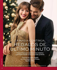 Catálogo L'bel Página 74