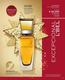 Catálogo L'bel Página 85