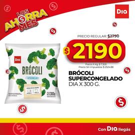 Folleto Supermercados DIA Página 2