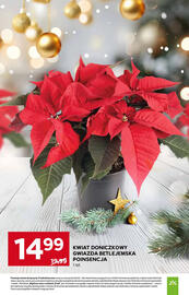 Stokrotka Market gazetka tydzień 48 Strona 14