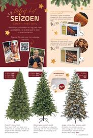 Coppelmans folder Pagina 11