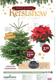 Coppelmans folder Pagina 12