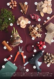 Coppelmans folder Pagina 8