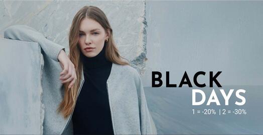 Folheto Lion of Porches Página 1