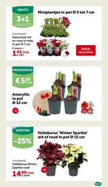 Aveve folder Pagina 24