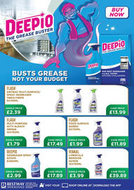 Bestway leaflet Page 8