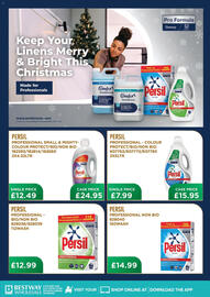 Bestway leaflet Page 9