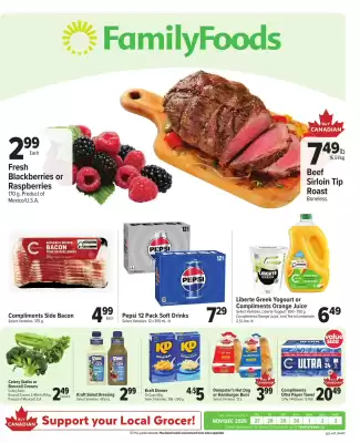 Family Foods flyer (valid until 3-12)