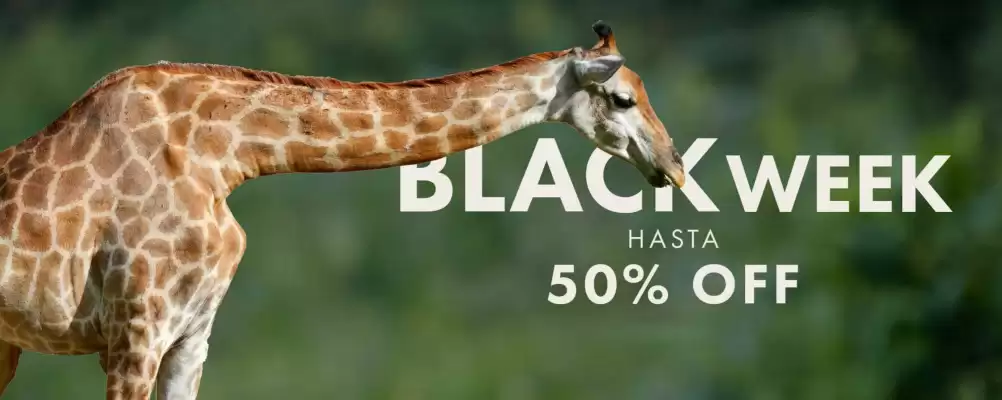 Catálogo Rockford (válido hasta 1-12)