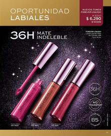 Catálogo L'Bel Página 13