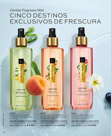 Catálogo L'Bel Página 74