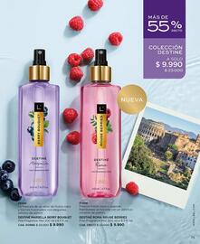 Catálogo L'Bel Página 75