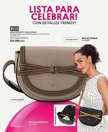 Catálogo Cyzone Página 45