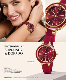 Catálogo Ésika Página 105