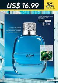 Catálogo Azzorti Página 115