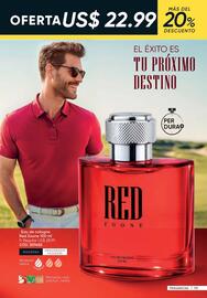 Catálogo Azzorti Página 121