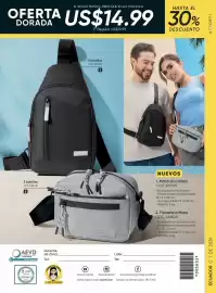 Catálogo Azzorti Página 230