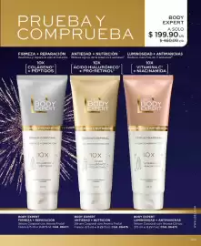 Catálogo L'Bel Página 105