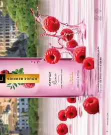 Catálogo L'Bel Página 111