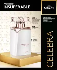 Catálogo Ésika Página 13