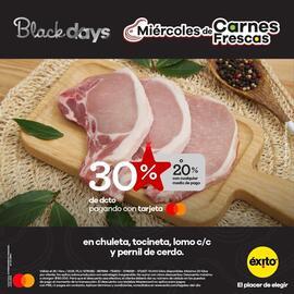 Catálogo Éxito Página 1