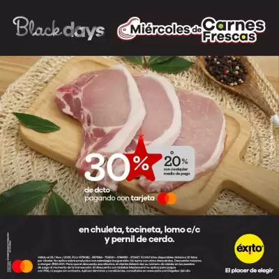 Catálogo Éxito (válido hasta 30-11)